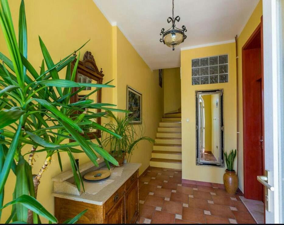 Leonarda Apartment Криквеница Екстериор снимка